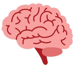 Pink cartoon brain