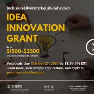promotional flyer for the IDEA Innovation grant for proposals that focus on inclusion, diversity, and equity.